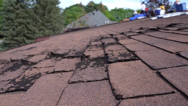 Best Emergency Roof Repair Services  in Columbus, OH